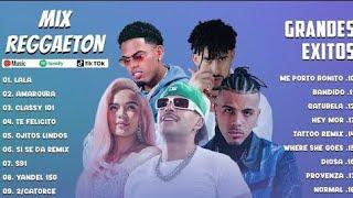 REGGAETON MIX 2024 - MYKE TOWERS KAROL G FEID RAUW ALEJANDRO BAD BUNNY  LATINO MIX 2024