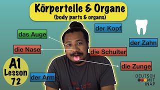 A1- German Lesson 72  Körperteile und Organe  Body parts and organs  Wortschatz   Vocabulary