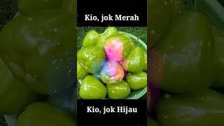 kiojok merah dan hijau super gemoy empuk#anekajambuair #jambuairkiojok #shortvideo