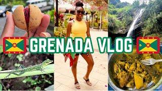 GRENADA VACATION  ST. GEORGES CONCORD FALLS LEAPERS HILL AND MORE #grenada