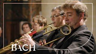 Bach - Cantata Herr Gott dich loben alle wir BWV 130 - Van Veldhoven  Netherlands Bach Society