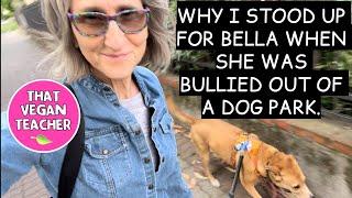 Bella never did anything wrong... so why did they not want her to come into the dog park?