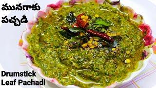 మునగాకు రోటి పచ్చడి  Munagaku Chutney  Munagaku Pachadi recipe  Drumstick Leaves Chutney