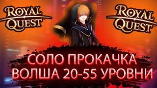 САМАЯ ЭФФЕКТИВНАЯ СОЛО ПРОКАЧКА НА ВОЛШЕБНИКЕ В РОЯЛ КВЕСТ С 20 ПО 55 УРОВНИ  ROYAL QUEST ФАРМ