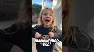 Ivy Found a Baby Hummingbird Egg ️ 