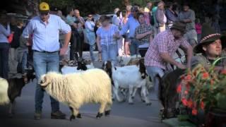 Valais Drink Pure Festival Nendaz 2015