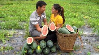 With boyfriend \ harvesting watermelon garden to sell and cooking