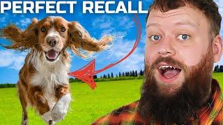 HOW TO TEACH PERFECT RECALL STOP YOUR DOG IGNORING YOU OFF LEASH