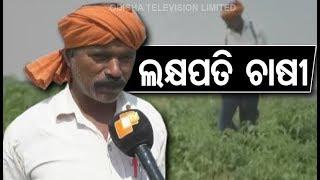 Meet The Lakhpati Farmer Of Odisha