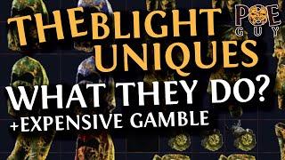 PoE 2024 - THE BLIGHT UNIQUES  Item Digest & Gamble