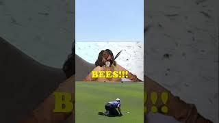 Watch Fog of bees briefly interrupts PGA Tours Mexico Open #shorts