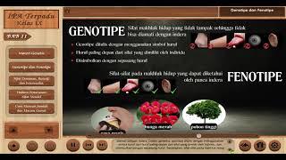 Genotipe dan Fenotipe