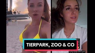 GEORGINA ERNTET SHITSTORM FÜR PRIVATZOO-BESUCH IN DUBAI SAMIRA LIEBT DEN TIERPARK #TRASHTV