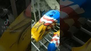 airbrush amerika rx king