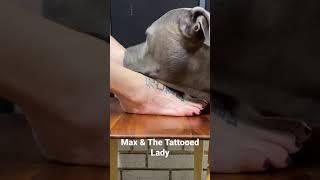Max & The Tattooed Lady … returns….