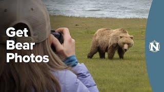 Alaska Bear Photography Tutorial with Wildlife Photographer Court Whelan Ph.D.