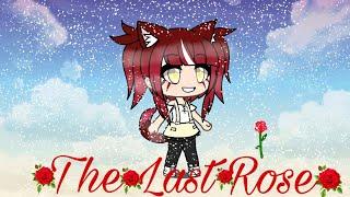 The Last Rose GLMM 12