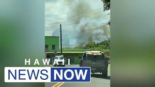 Investigation underway into cause of brush fire in Kapaa
