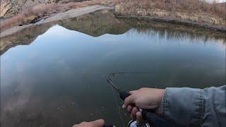 Spring TROUT Fishing Tips Rainbow & Brown Trout