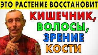 ЭТО РАСТЕНИЕ ВОССТАНОВИТ КИШЕЧНУЮ МИКРОФЛОРУ ВОЛОСЫ КОСТИ ЗРЕНИЕ Тыква рецепты тыквенные семечки