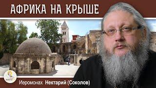 ХРАМ ГРОБА ГОСПОДНЯ #17. Праведный Авраам и Африка на крыше.   Иеромонах Нектарий Соколов