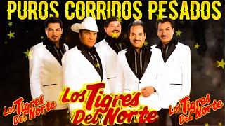 Los Tigres Del Norte  Puros Corridos Mix 2024  20 Grandes Éxitos.mkv