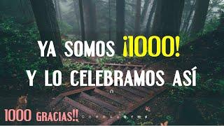 Llegamos a los 1000 suscriptores y lo CELEBRAMOS ASÍ ¡1000 GRACIAS