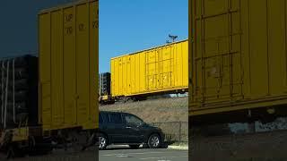 CSX M410 passing UnionNJ with CSX 1899 *Pere marquette* trailing