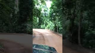 Riding down the steep dirt road of Khao Kitchakhut in Thailand #farang #thailand #chanthaburi