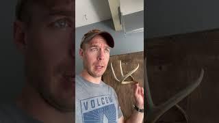 Antlers on the wall - g2 mounts #deerhunter