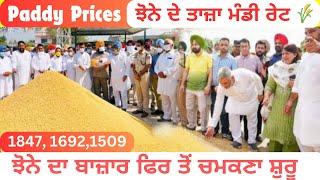 Paddy Prices Today ਝੋਨੇ ਦਾ ਬਾਜ਼ਾਰ ਫਿਰ ਤੋਂ ਚਮਕਣਾ ਸ਼ੁਰੂ  1847 16921509 ਝੋਨੇ ਦੇ ਤਾਜ਼ਾ ਮੰਡੀ ਰੇਟ 