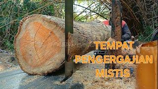 Luar Biasa‼️Gergaji Bandsaw Rakitan-Merajang Kayu Jati Kebun Bambu