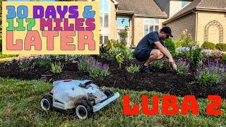 How Ive Been Spending More Time In the Garden Luba 2 In-Depth Review