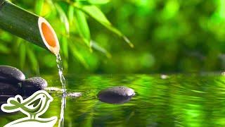 Peaceful Spa Radio  Water Sounds & Relaxing Music 247