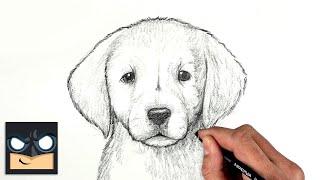 How To Draw a DOG  GOLDEN LAB PUPPY  Sketch Saturday