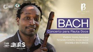 BACH BRASIL #22 Concerto para Flauta Doce - com Vladimir Soares