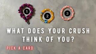  What Does Your Crush Think of You?  tarot pick a card