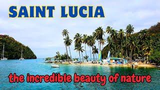 the incredible beauty of nature on Saint Lucia - Island tour - Caribbean cruise