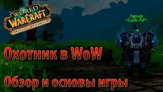 Охотник в реалиях Пандарии  Гайд на ханта  Основы игры. Как играть?