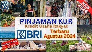 Cara Mengajukan Pinjaman KUR BRI Terbaru 2024  Syarat & Tips KUR BRI Langsung Disetujui Terbaru