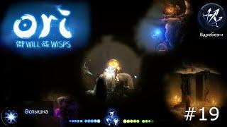 ЗАРОСШИЕ НЕДРА ► Ori and the Will of the Wisps ► #19