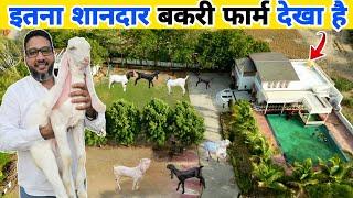 गुजरात का शानदार बकरी फार्म  Goat farm in Gujarat