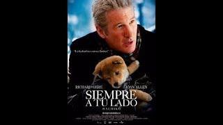 pelicula completa en español siempre a tu lado audio latino