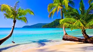 4k UHD Tropical Beach & Palm Trees on a Island Ocean Sounds Ocean Waves White Noise for Sleeping.