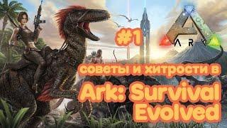 СОВЕТЫ и СЕКРЕТЫ Ark Survival Evolved #1 Как играть?