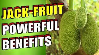 14 Powerful Benefits of JACKFRUIT To Boost Your HEALTH