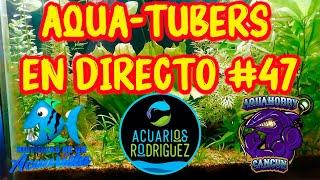 Platicando con el canal ACUARIOS RODRIGUEZ