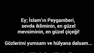 Peygamber Efendimize ağlatan siir