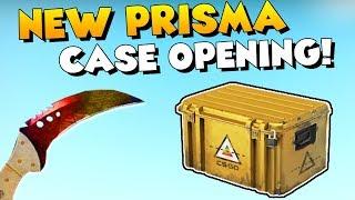 NEW PRISMA CASE OPENING  15x Prisma Case