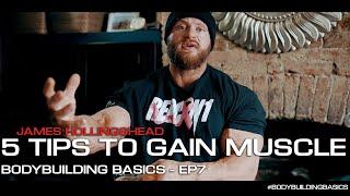 5 KEY TIPS TO GAIN MUSCLE Like a Pro  - Bodybuilding Basics EP7